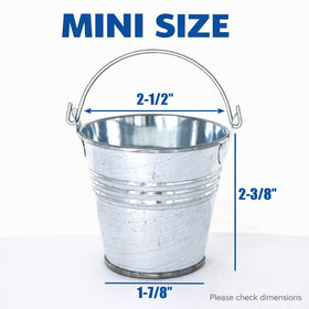 GiftExpress mini bucket succulent planter adds rustic charm to small arrangements.