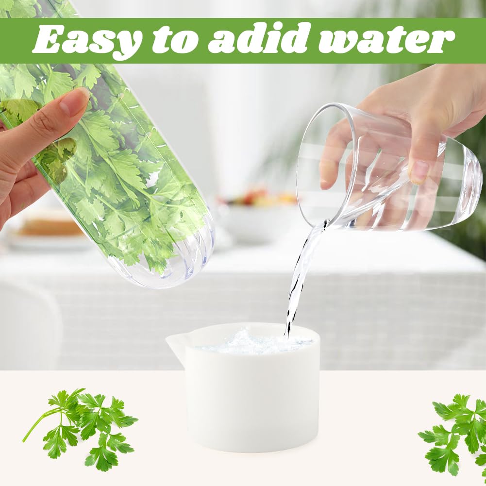 Giyochie Fresh Herb Saver asparagus storage organizes asparagus sticks neatly.