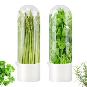 Giyochie Fresh Herb Saver cilantro storage keeps cilantro upright and fresh for weeks.