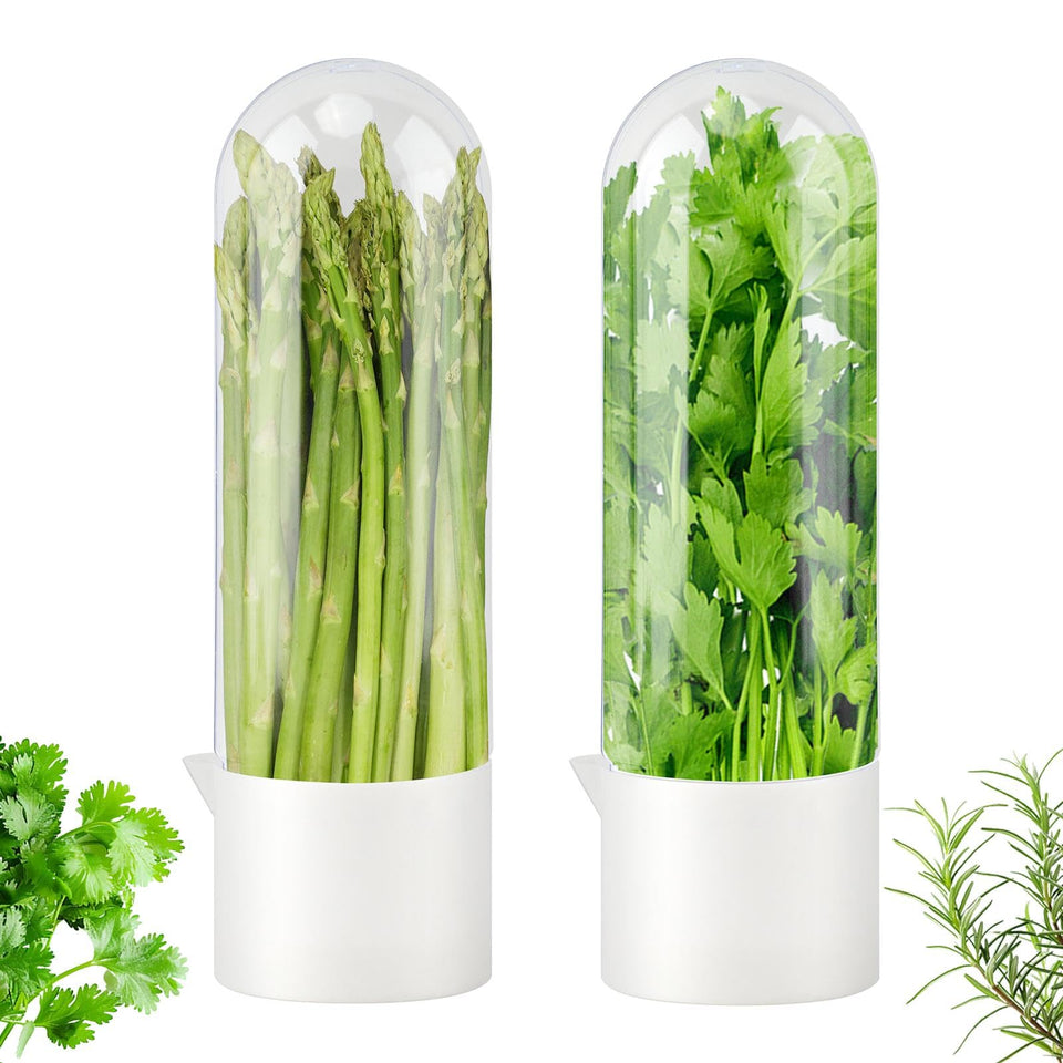 Giyochie Fresh Herb Saver cilantro storage keeps cilantro upright and fresh for weeks.