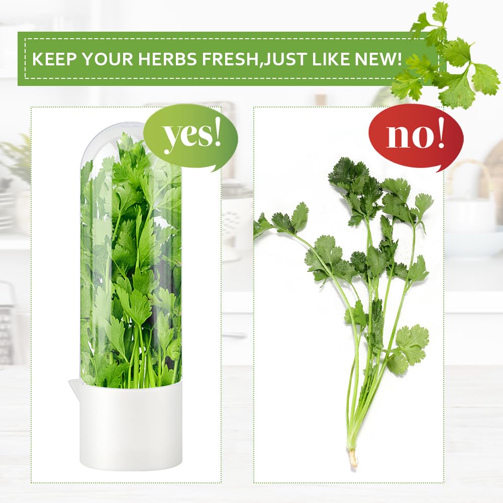 Giyochie Fresh Herb Saver fridge organizer fits on shelves for clutter-free storage.