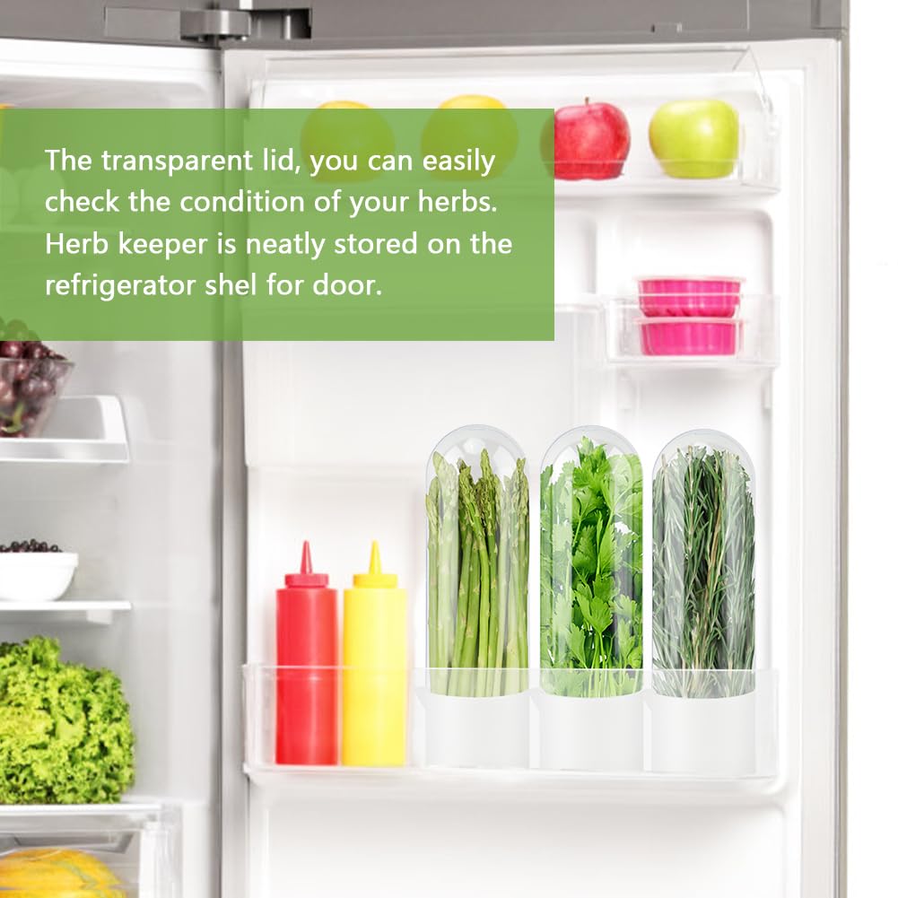 Giyochie Fresh Herb Saver rosemary storage protects delicate rosemary from crushing.