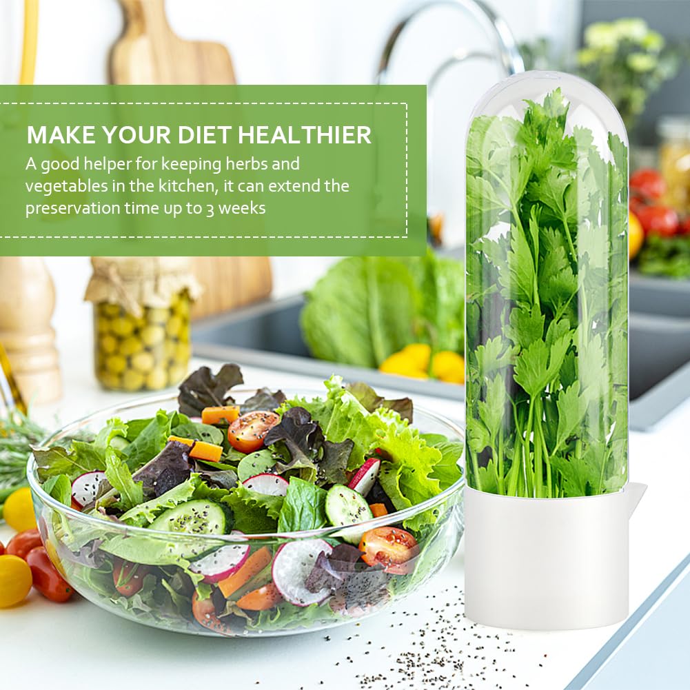 Giyochie Fresh Herb Saver transparent lid allows quick herb condition checks.