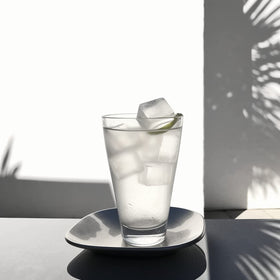 Glacio stackable covered trays simplify storage and keep ice ready for entertaining