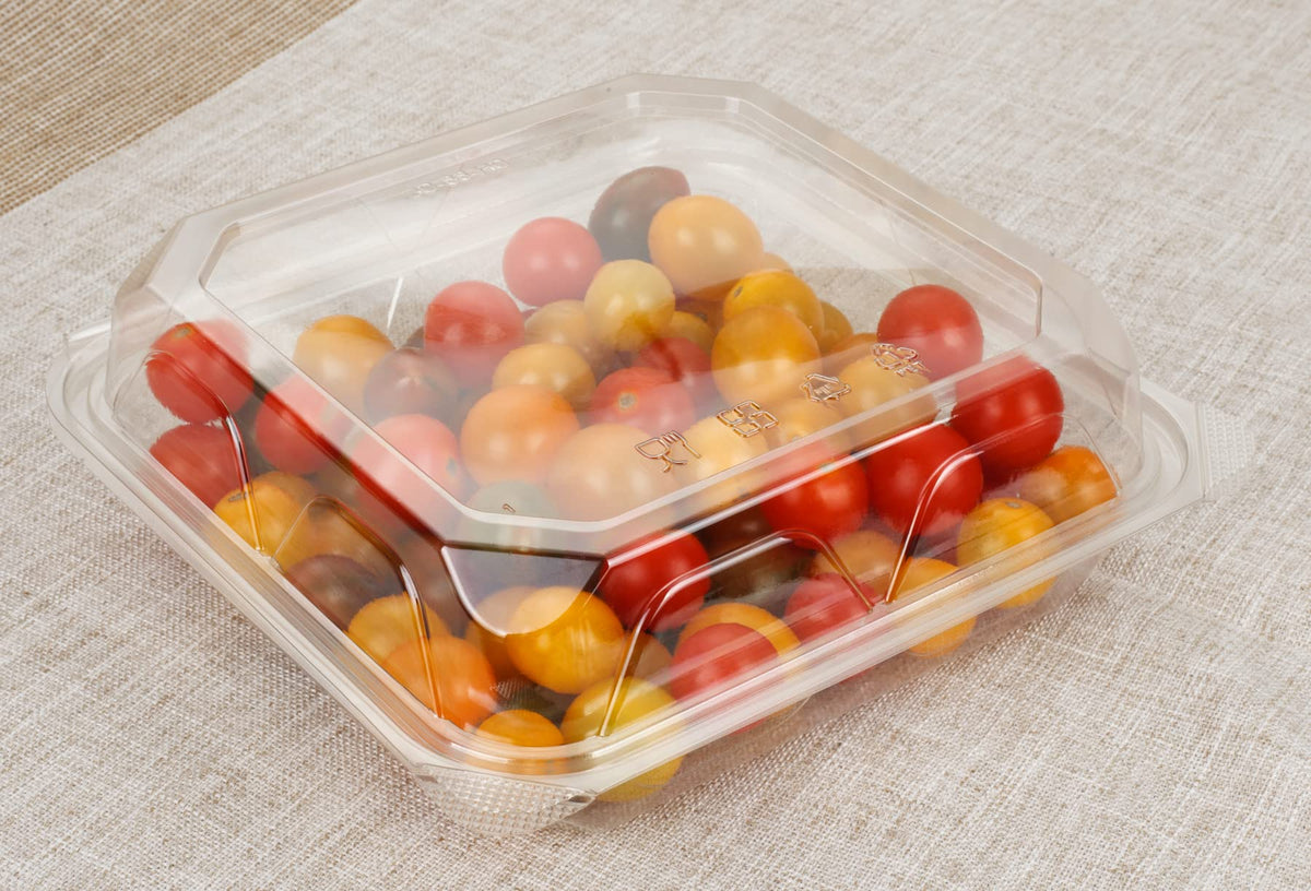 Golden Apple square container close-up shows clear body and lid.