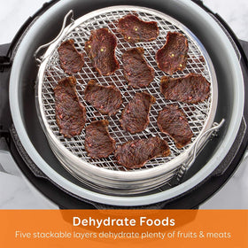 Goldlion Dehydrator Rack in 304 stainless steel for safe, durable use.