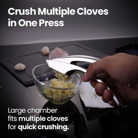Gourmet Easy dishwasher safe garlic press cleans quickly after cooking