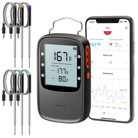 Govee meat thermometer six-probes for simultaneous multi-item monitoring