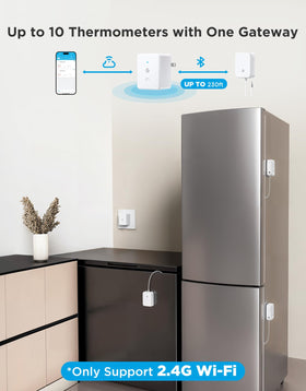 GoveeLife gateway with 2.4GHz Wi‑Fi illustrating seamless remote access