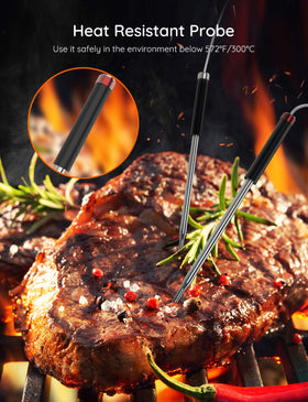 Govee 304 stainless steel probes for safe, durable grilling.