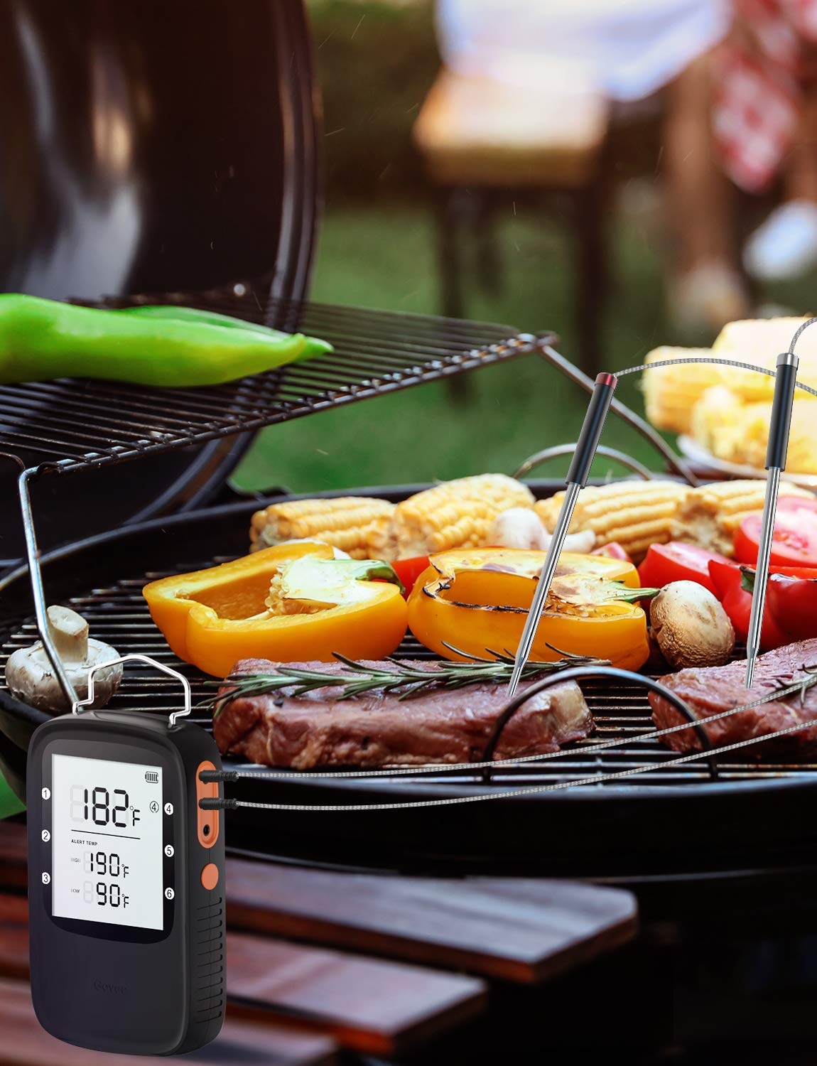 Govee dual-probe setup offers versatile temperature monitoring.