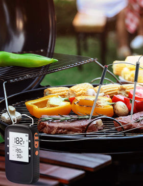 Govee dual-probe setup offers versatile temperature monitoring.