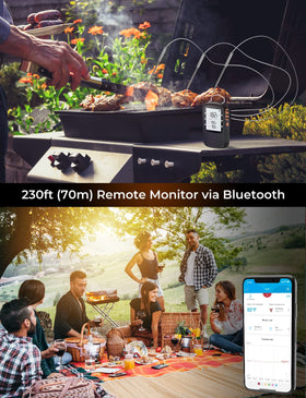 Govee smart LCD display shows real-time temps during cooking.