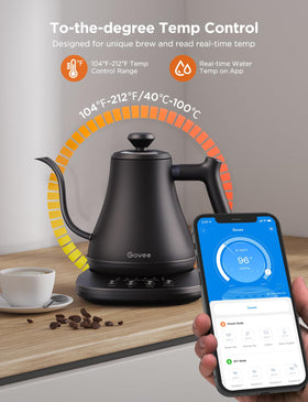 Govee kettle 0.8L stainless steel design for daily use