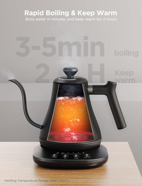 Govee kettle with WiFi and Bluetooth control for app and voice use