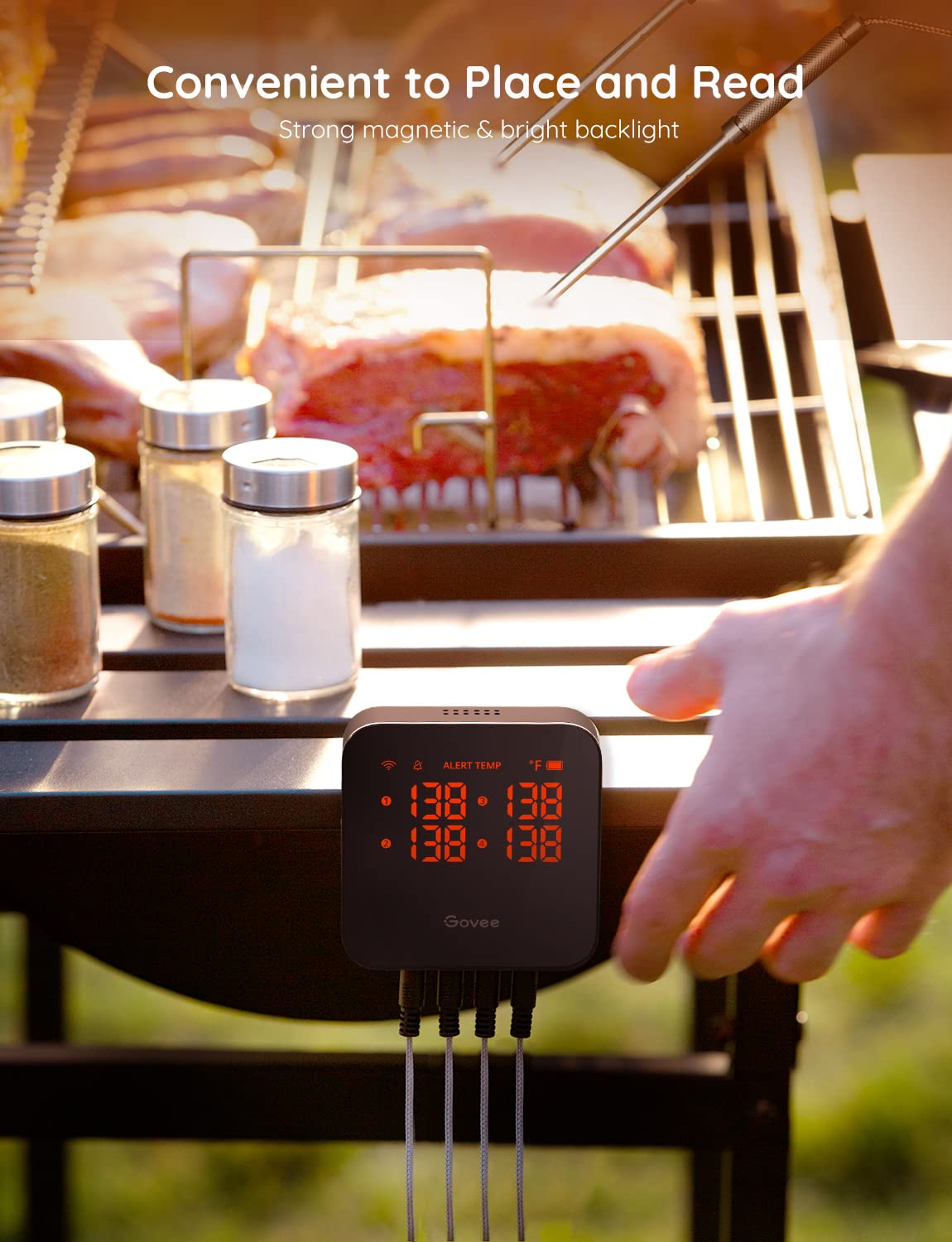 Govee thermometer with heat-resistant probes and stand for easy use.
