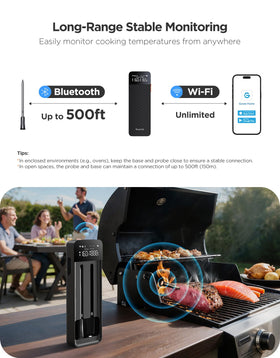 GoveeLife dual-probe temps displaying inner and ambient temperatures for precision cooking.