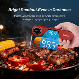 GrillBliss VA LCD display thermometer stays readable in sunlight