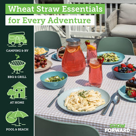 Grow Forward Seascape 7.5-inch dessert plates, premium unbreakable feel for table moments.