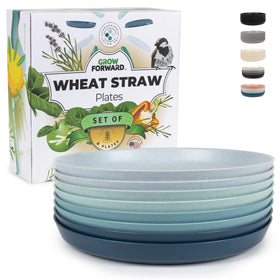 Grow Forward Seascape 10-inch plate front view highlights durable, colorful design for everyday dining.