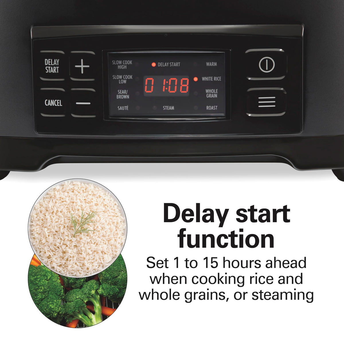 Hamilton Beach 33604 delay-start option for planning meals ahead.