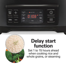 Hamilton Beach 33604 delay-start option for planning meals ahead.