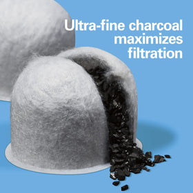 Hamilton Beach coconut-charcoal granules close-up illustrates ultra-fine filtration.