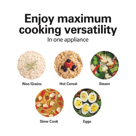 Hamilton Beach compact multi-cooker interior plate ready for 1–2 servings