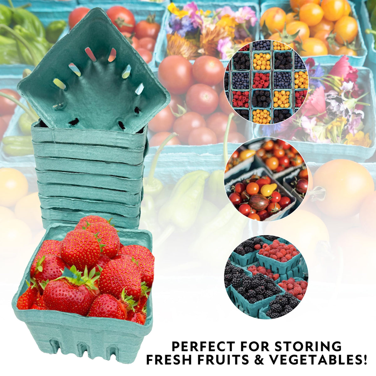 Hampton Distribution pulp-fiber berry container is compostable