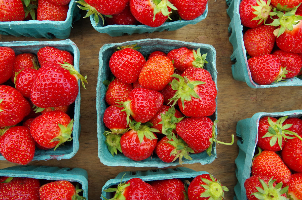 Hampton Distribution stackable berry baskets save pantry space