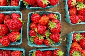 Hampton Distribution stackable berry baskets save pantry space