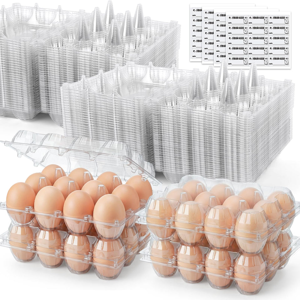 HANSGO 60-pack egg cartons with clear lid and date-label area for branding