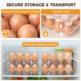 HANSGO reinforced cones protect eggs during transit and reduce breakage