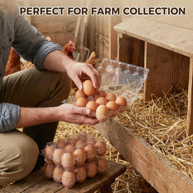 HANSGO small to medium egg fit ensures snug packaging and transport