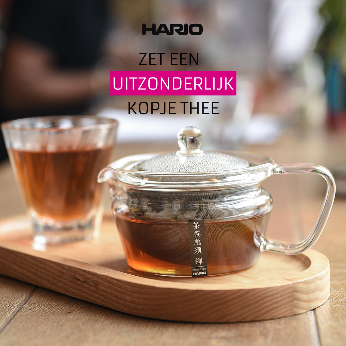 Hario ChaCha Kyusu Maru 450ml capacity ideal for small tastings