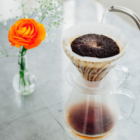 Hario V60 dripper close-up highlights V-shaped filter for even extraction.