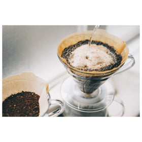Ready-to-brew session with HARIO V60 Size 01 natural filters.