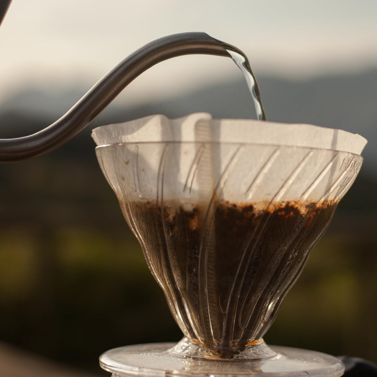 HARIO V60 Size 03 dripper ready with filter for pour-over
