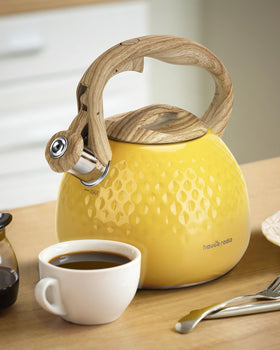 Hauce Radio hiking and picnic ready design in bright yellow