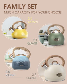 Hauce Radio lemon scale care tip keeps kettle clean over time