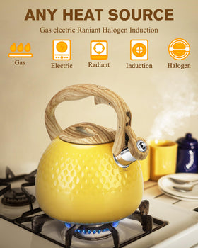 Hauce Radio stainless steel anti rust kettle for daily use and lasting shine