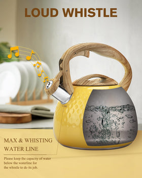 Hauce Radio stovetop teapot with loud whistle signals when boiling is done