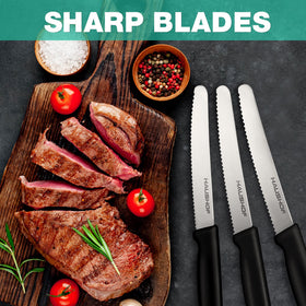HAUSHOF outdoor-ready steak knife suitable for barbecues and picnics.