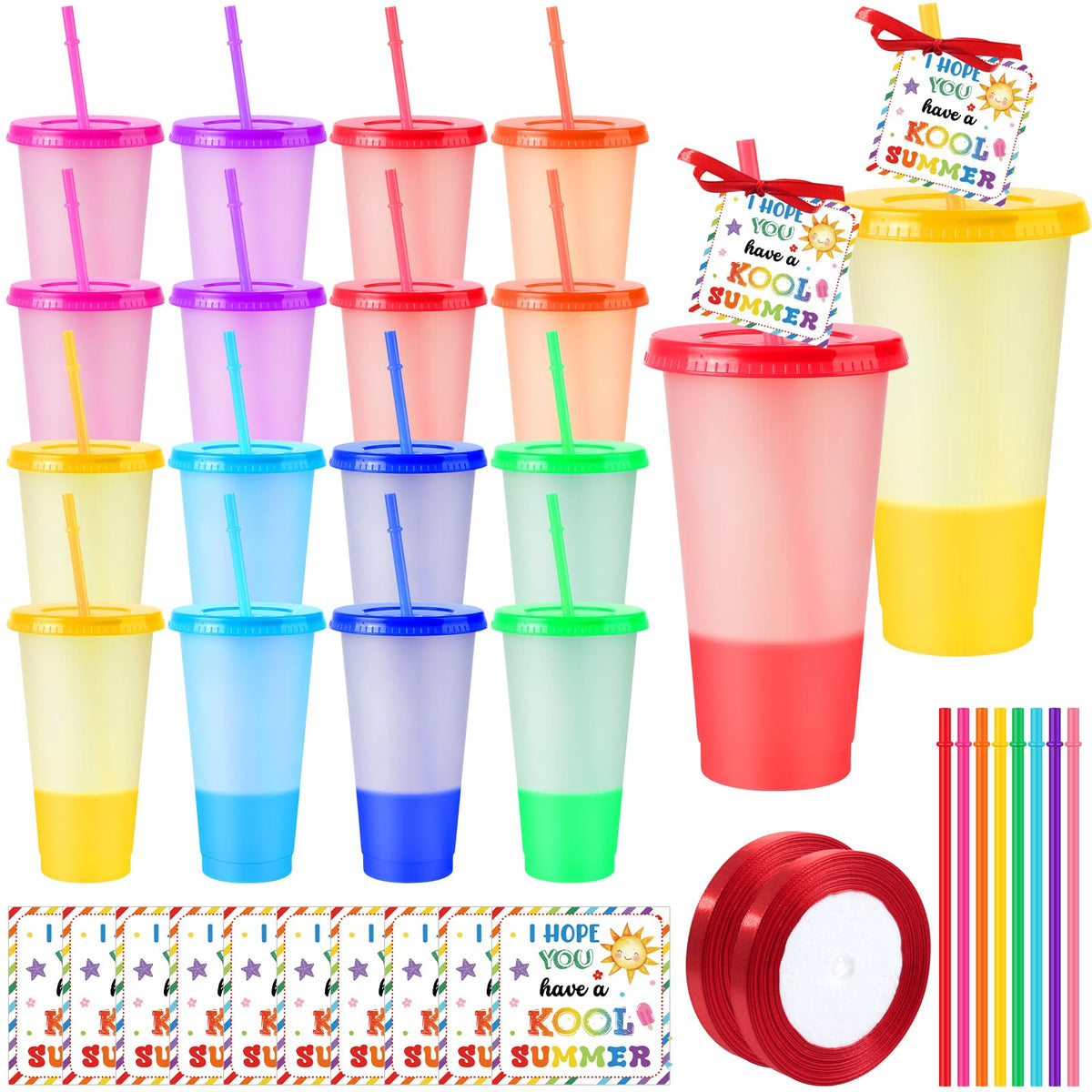 Hauwellter end-of-year gift set with 24 color-changing tumblers for classroom gifts.