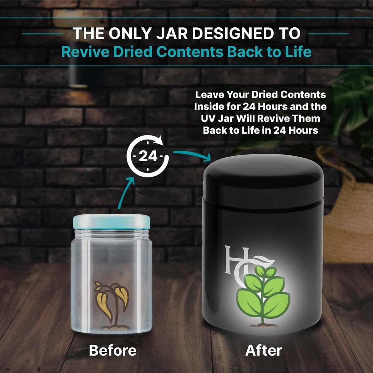 Travel bag keeps contents secure and airtight on the go.