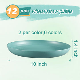 HEYCOME six-color dinner plates bring vibrant style to any table setting.
