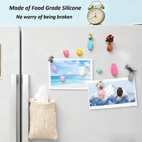 HMAXING tiny plant display on fridge boosts mood during daily routines.
