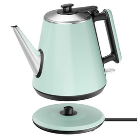 HoJang small electric kettle showing compact size for easy tea prep