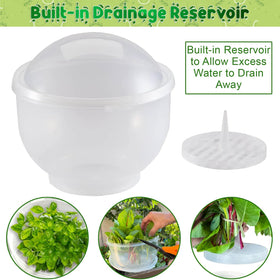 Home-X see-through fridge container for easy freshness monitoring