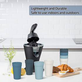 Homestockplus multipurpose tumbler for smoothies, water, and more.